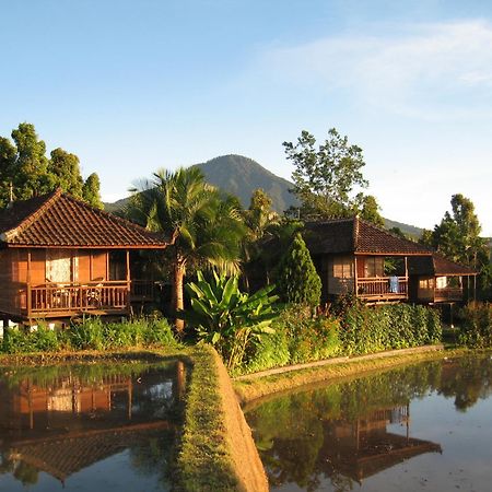 Puri Lumbung Cottages Restaurant & Spa Munduk Eksteriør bilde
