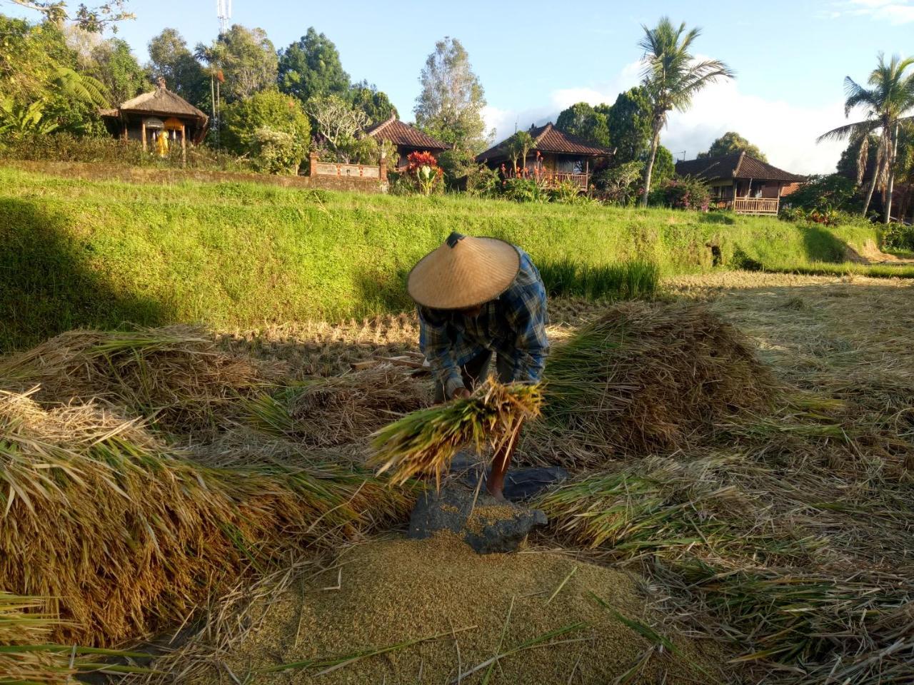 Puri Lumbung Cottages Restaurant & Spa Munduk Eksteriør bilde